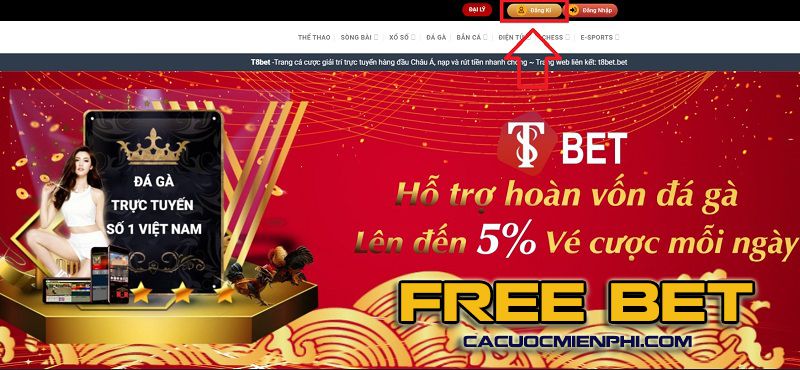 Hướng dẫn chọi gà mới nhất của Vnd188 - Vnd188