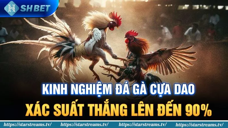 Xoso66 cung cấp dịch vụ thông qua nền tảng trực tuyến - Xoso66