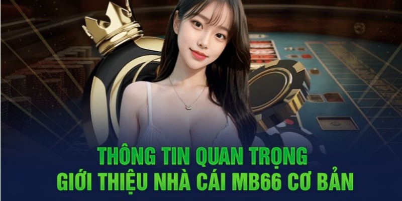 Một thư viện ấn tượng gồm các trò chơi được xếp hạng Shbet - Shbet