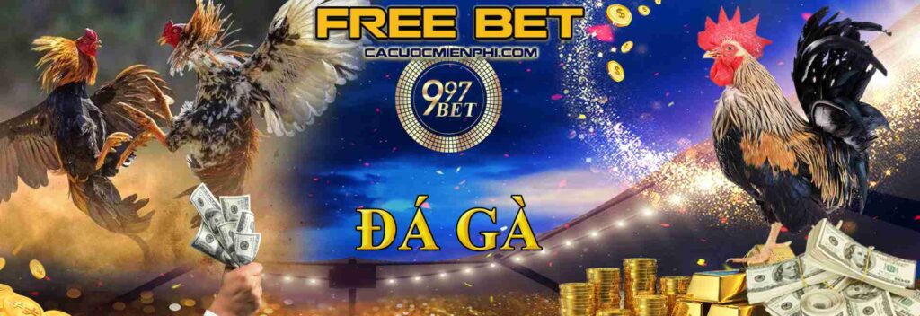 Độ tuổi tối thiểu để tham gia 79King là bao nhiêu? - 79King