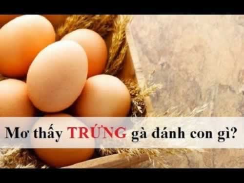 Bạn chỉ có thể mở một tài khoản với Zalv - Zalv