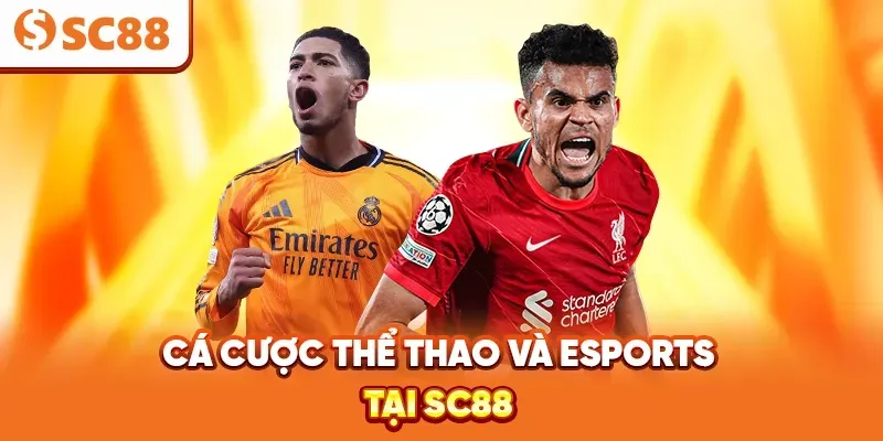 Hướng dẫn nhanh đăng ký trực tuyến 33Win - 33Win