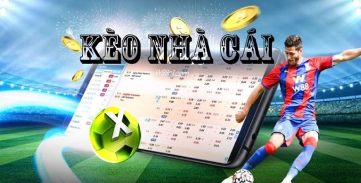 Phân tích một cầu thủ ghi bàn ở cấp độ Vn6 - Vn6