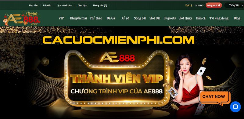 Làm thế nào để tăng cơ hội thắng khi chơi máy đánh bạc tại sòng bạc hạng Mu88? - Mu88