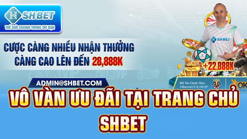 Tỷ lệ cược trận đấu bóng đá phổ biến cấp độ Typhu88 - Typhu88
