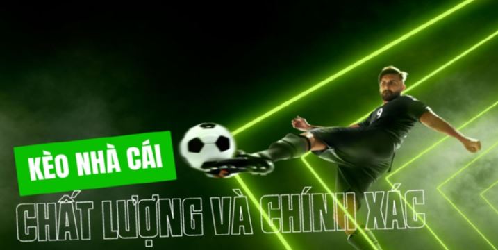 Dd7 là một công ty game đáng tin cậy; sau đây là tổng quan về công ty này - Dd7