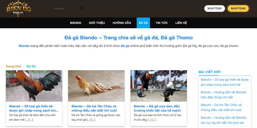 Hb888 là mạng lưới game trực tuyến hàng đầu tại Việt Nam - Hb888