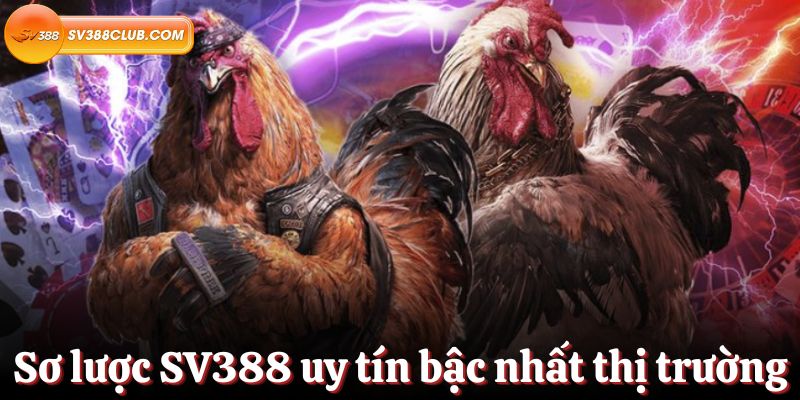 Các công ty được xếp hạng Letou có uy tín đến mức nào? - Letou